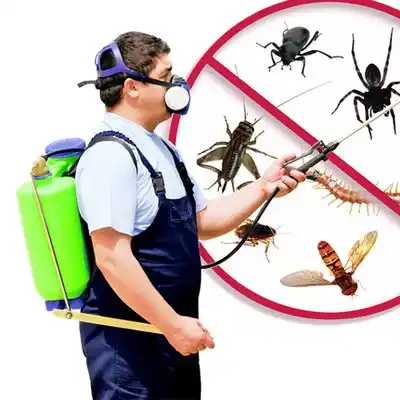 pest control Hornell